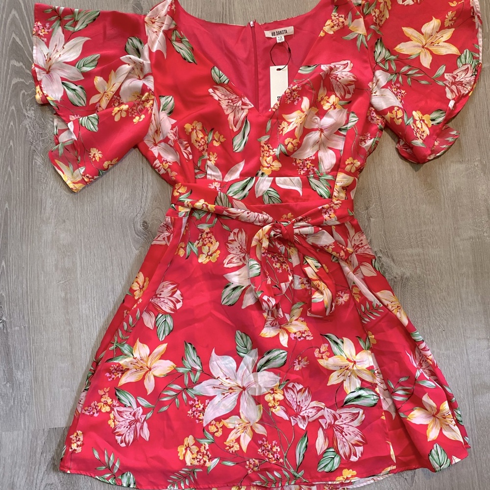 Pink floral BB Dakota mini dress